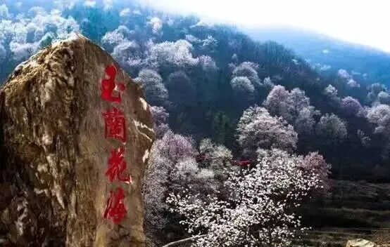 �����@�l·���������(r��n)�����(l��i)�^(gu��)�᣿